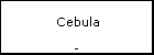  Cebula